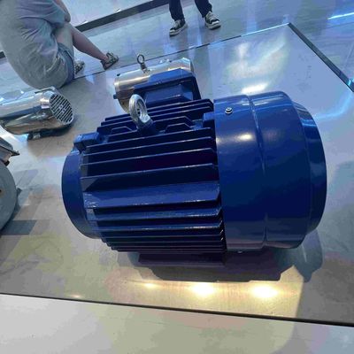 AC 50Hz Customized Voltage High Efficiency Electric Motors For Machine Tools