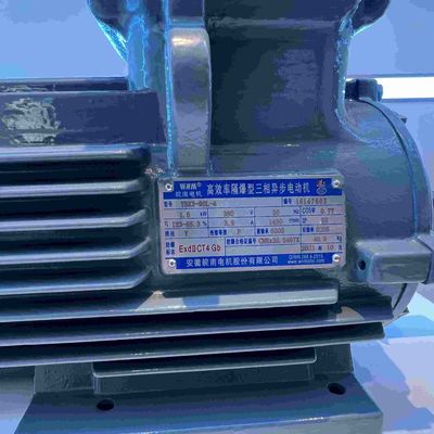 10KW Three Phase Electric Motors For Remedy Apparatus