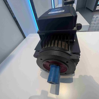 High Voltage Three Phase Electric Motors 6KV High Efficient