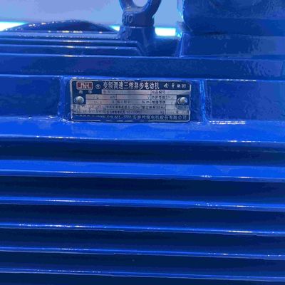 Steel AC Induction Medium Voltage Triple Phase Motor