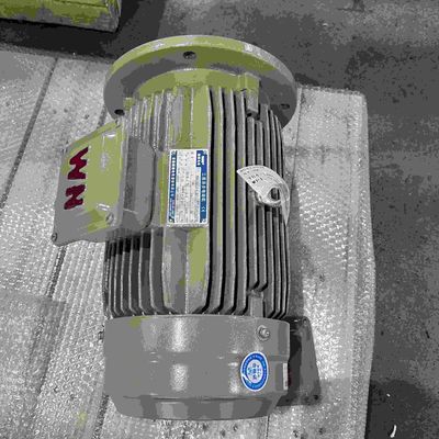 230V 1KW Low Voltage Electric Motors High Efficient RoHS