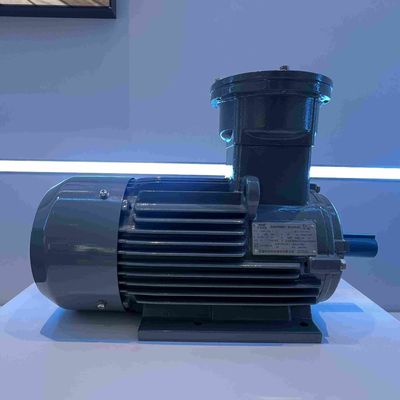 Steel AC Induction Medium Voltage Triple Phase Motor