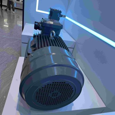 220V Single Phase Electric Motors Low Voltage With CCC